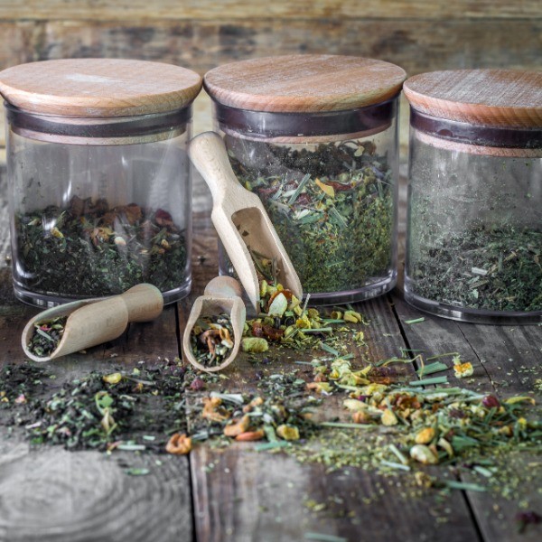 Plantas medicinales